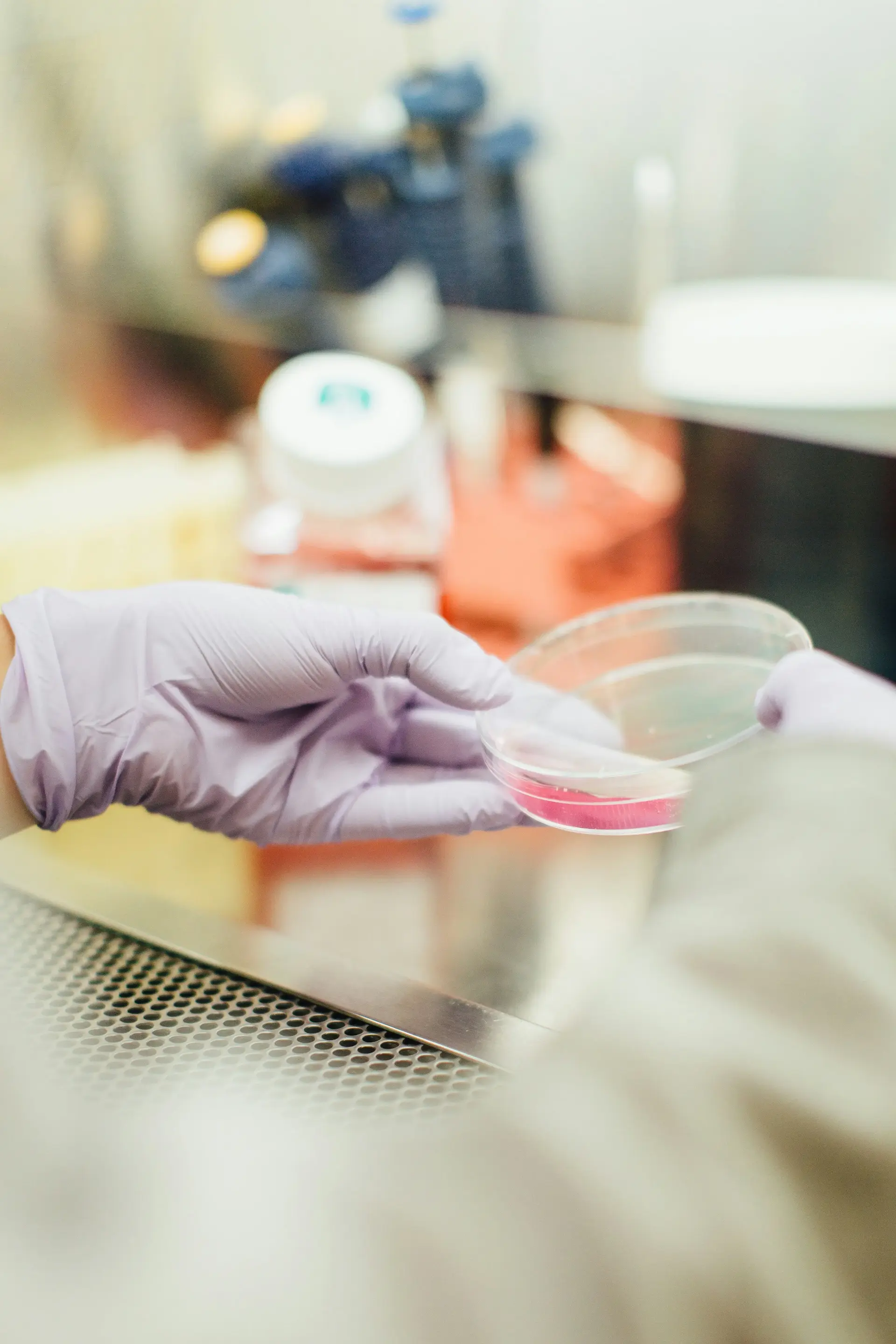 Laboratorio de microbiología AMAA